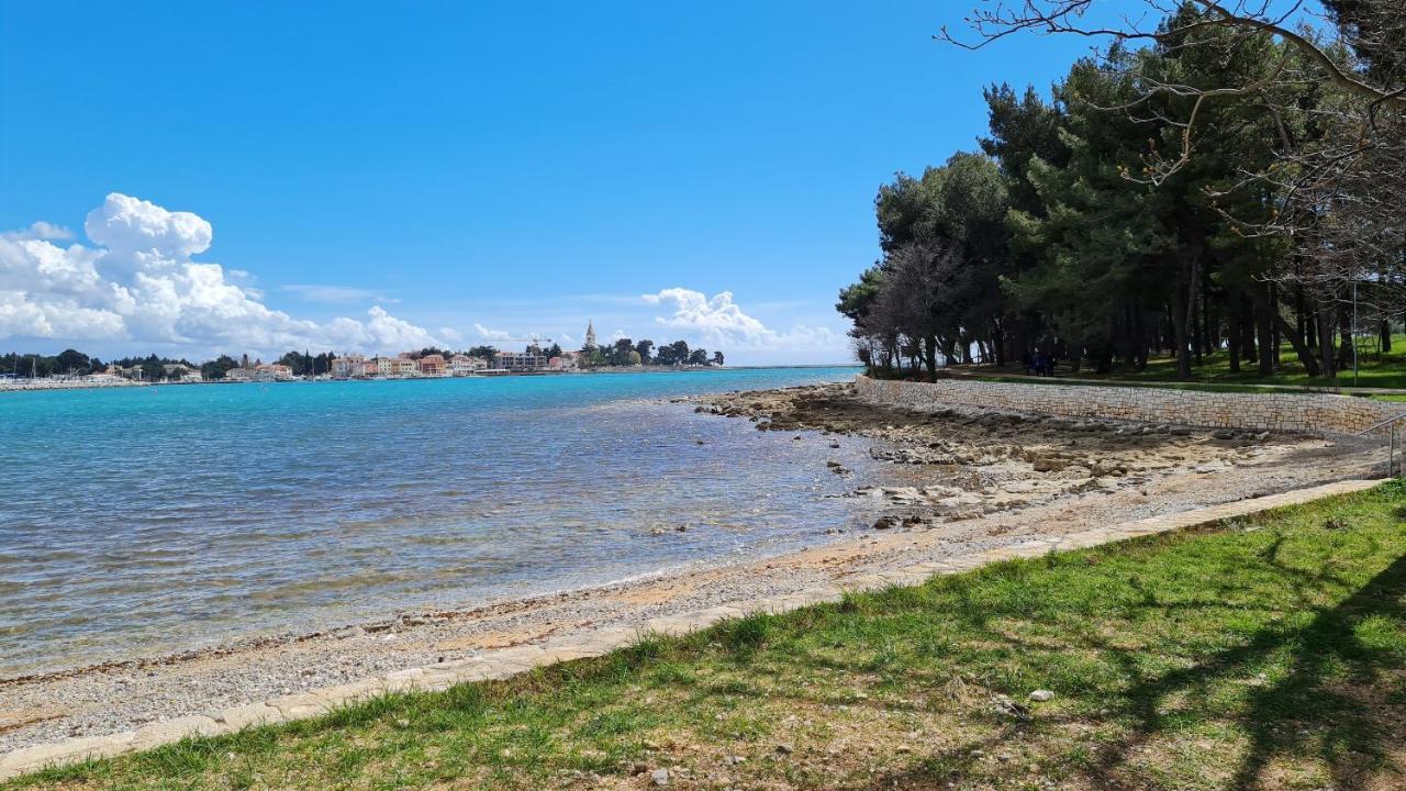 Apartments Kivi Novigrad Istria Exteriér fotografie
