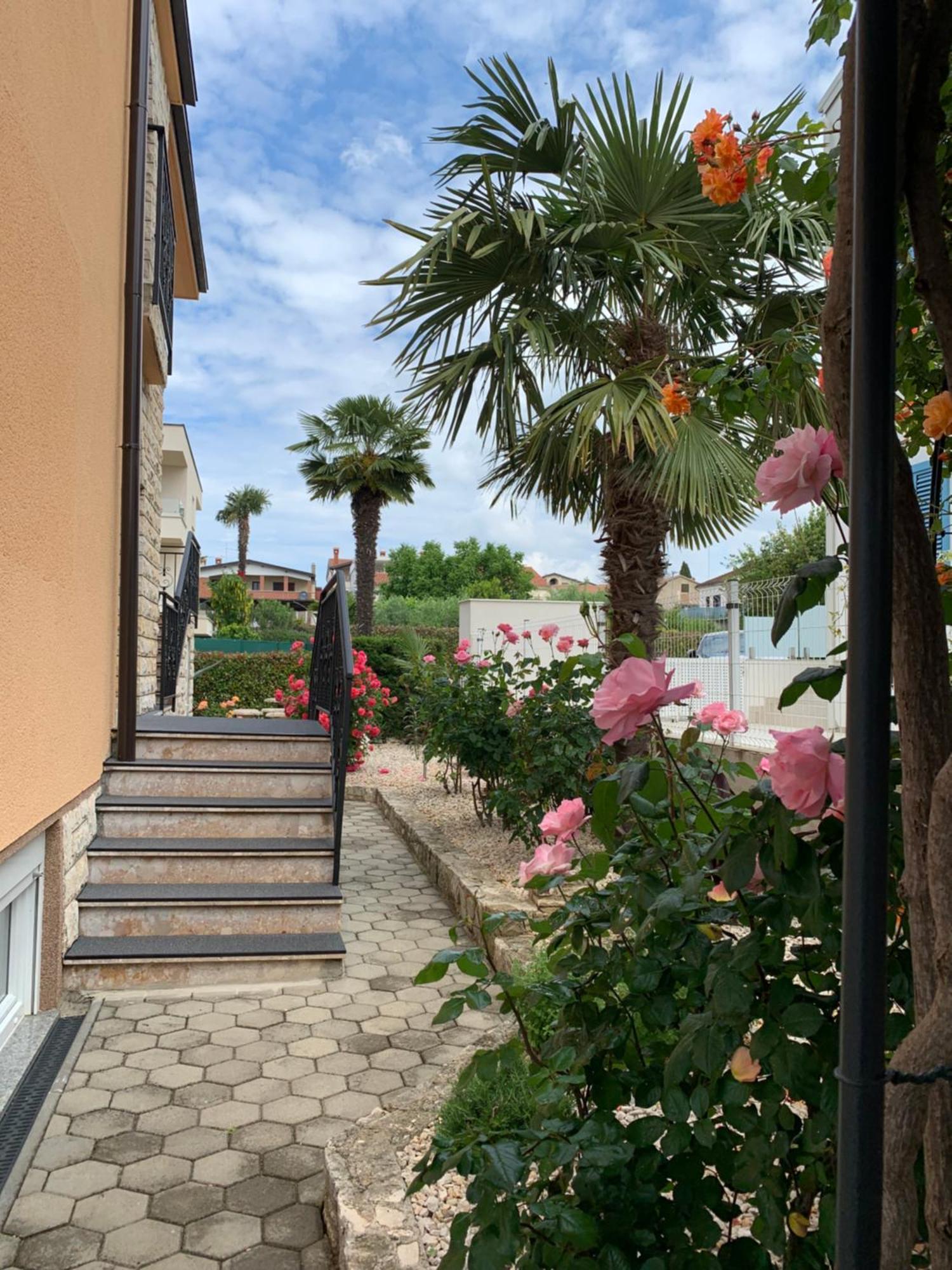 Apartments Kivi Novigrad Istria Exteriér fotografie