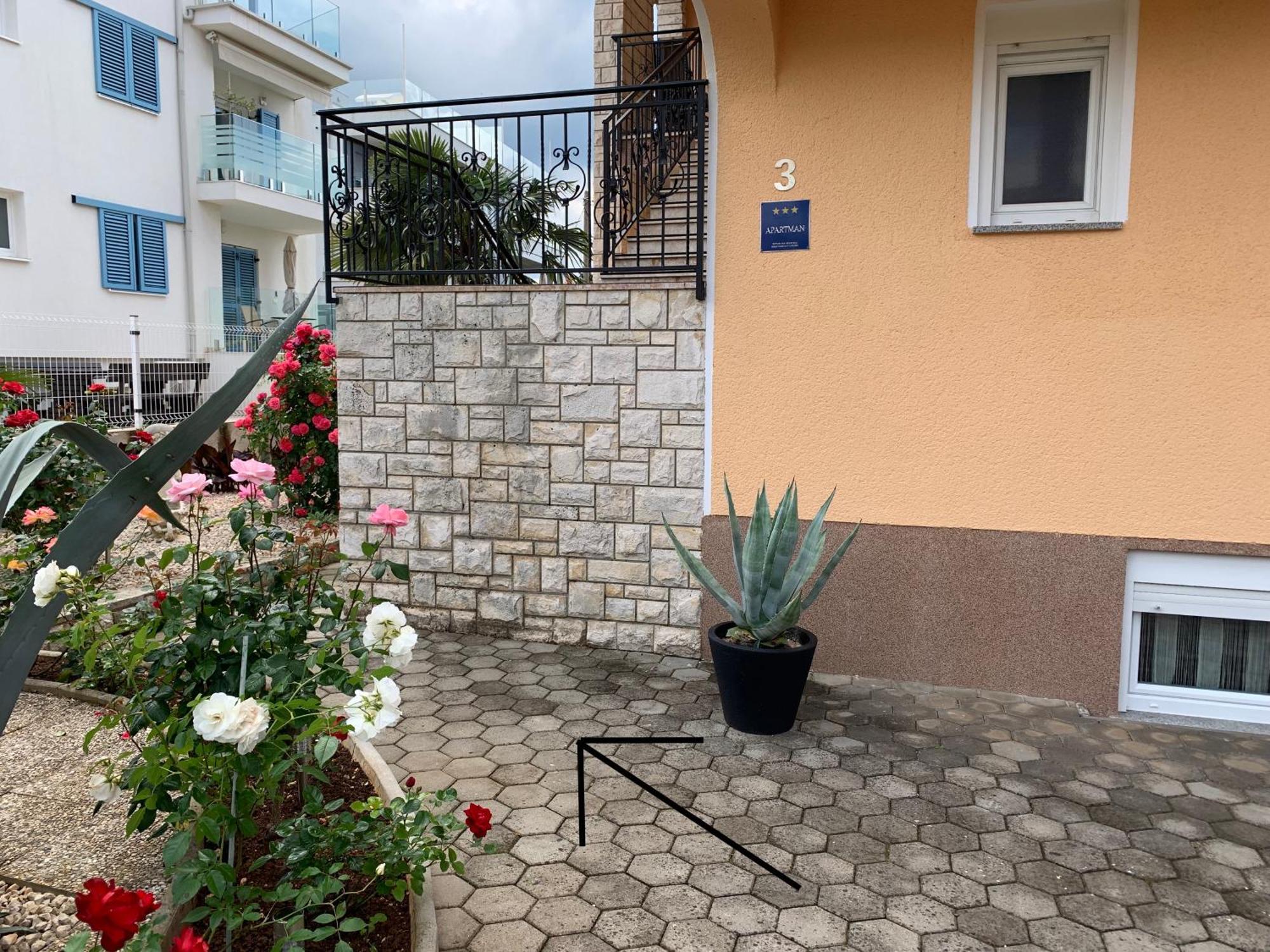 Apartments Kivi Novigrad Istria Exteriér fotografie